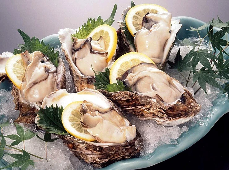 RockOysters