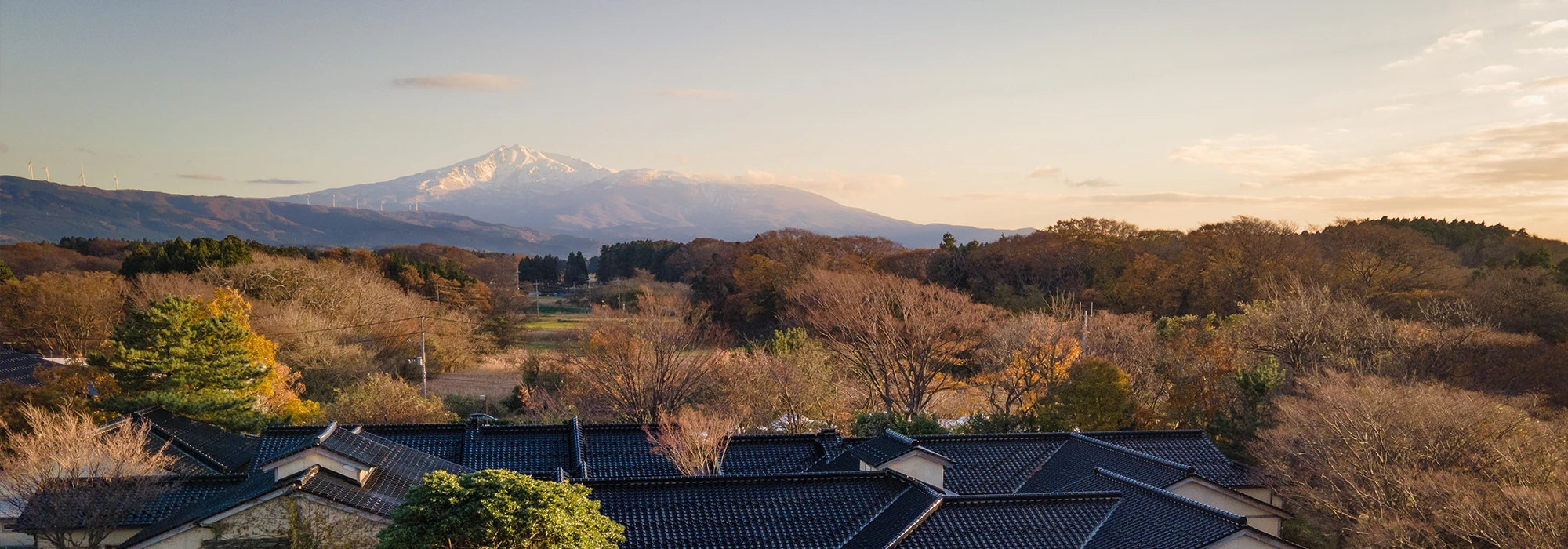 交通案内